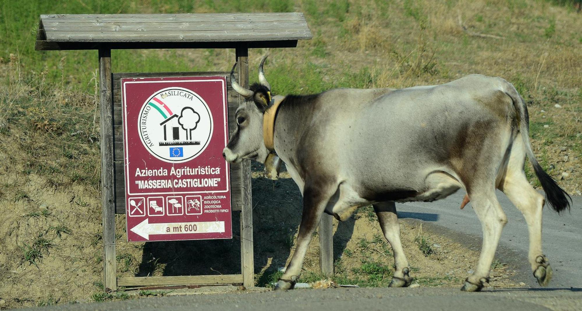 Agriturismo Masseria Castiglione Gallicchio المظهر الخارجي الصورة